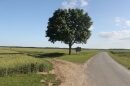 sortie de Boisminard